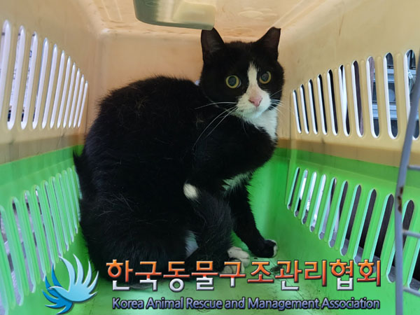 한국동물구조관리협회_411312202300401