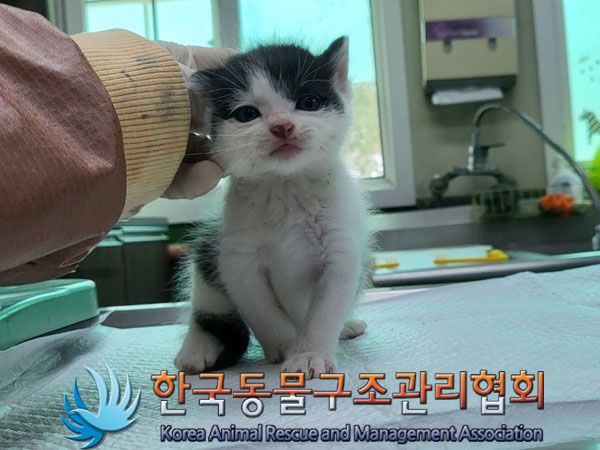 한국동물구조관리협회_411316202300427