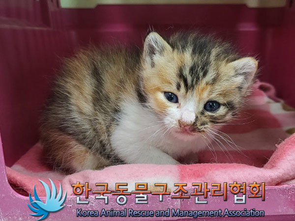 한국동물구조관리협회_411316202300426