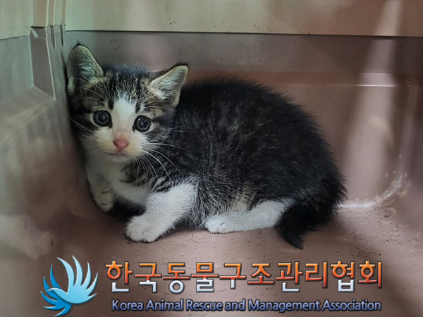 한국동물구조관리협회_411315202300387