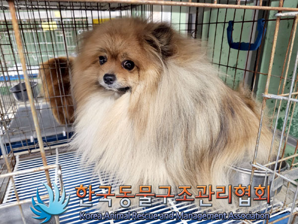 한국동물구조관리협회_411318202300270