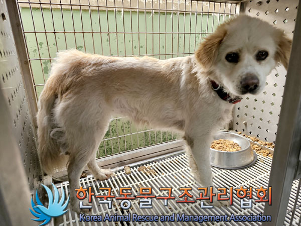 한국동물구조관리협회_411307202300210