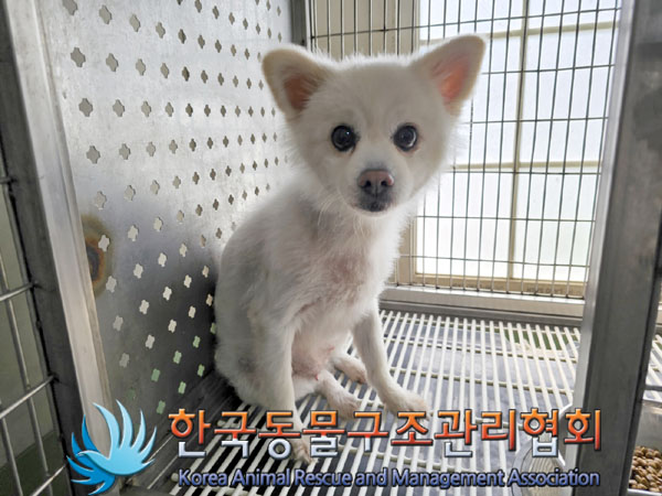 한국동물구조관리협회_411316202300429