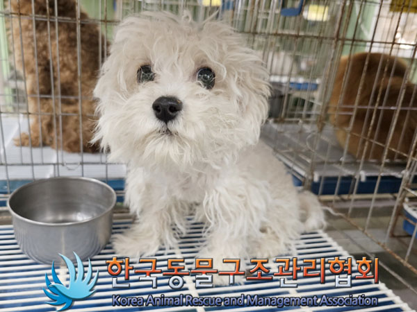 한국동물구조관리협회_441559202300422