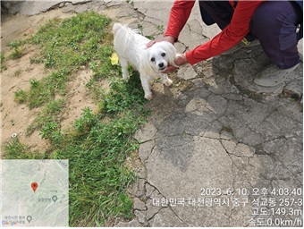 대전동물보호센터_430365202300269