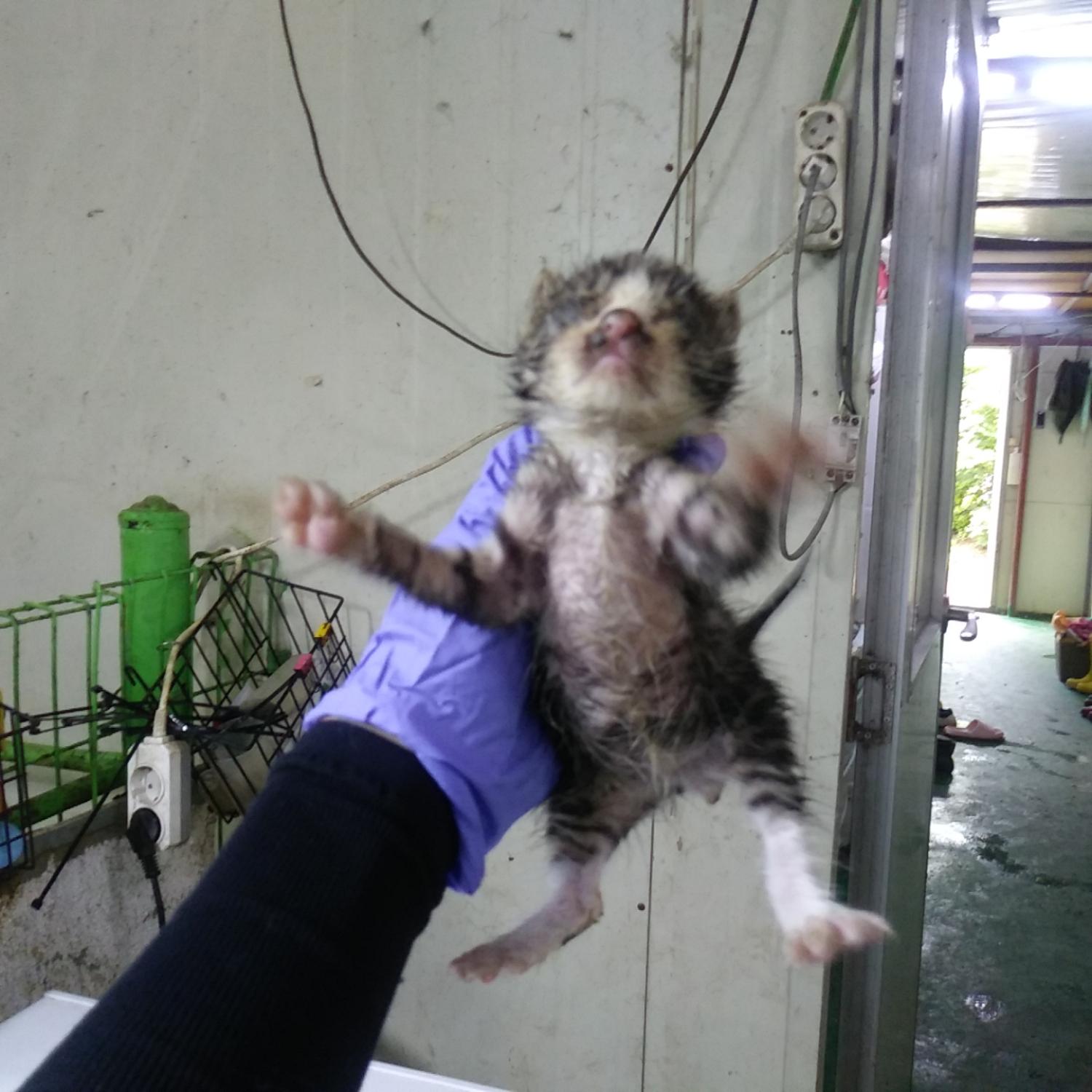 인천광역시수의사회_428353202300755