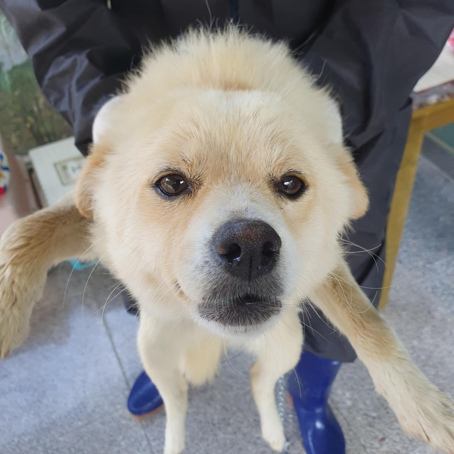 구미시 동물보호센터_447508202300737