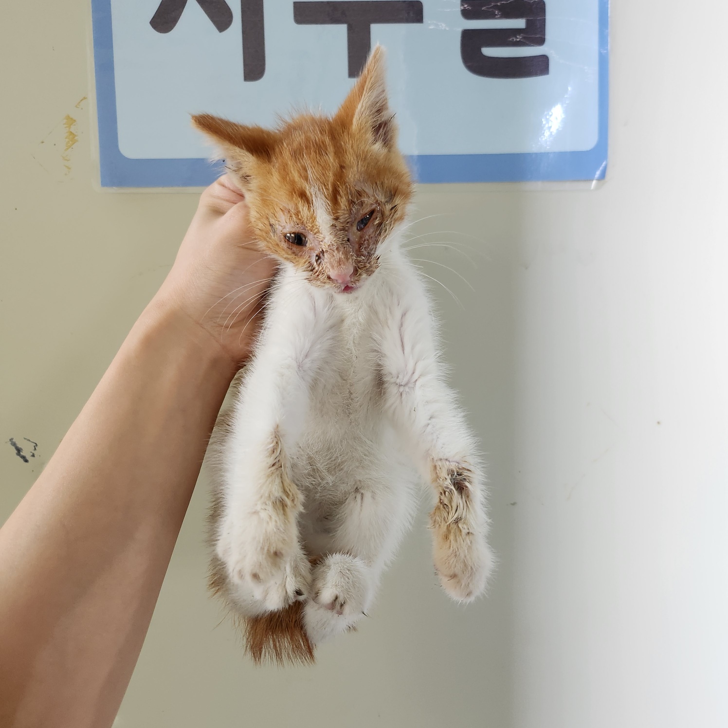 부산동물보호센터_426326202300259