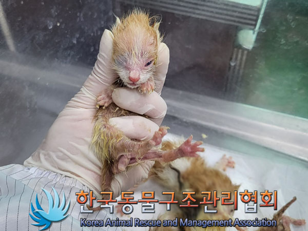 한국동물구조관리협회_411317202300159