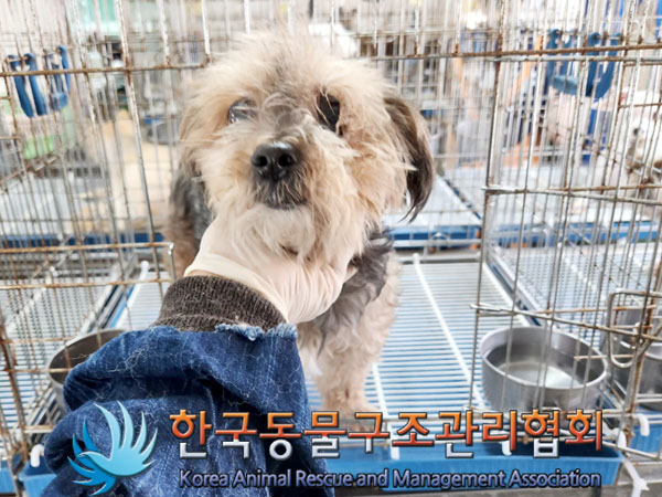한국동물구조관리협회_441382202300405