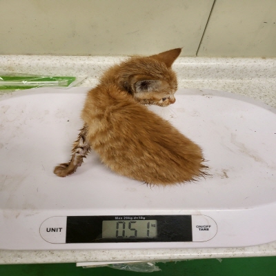 누리동물병원_426330202300122