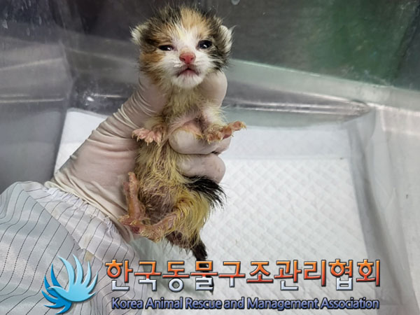 한국동물구조관리협회_411317202300164