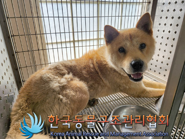 한국동물구조관리협회_441409202300928