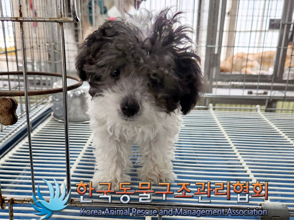 한국동물구조관리협회_411316202300448
