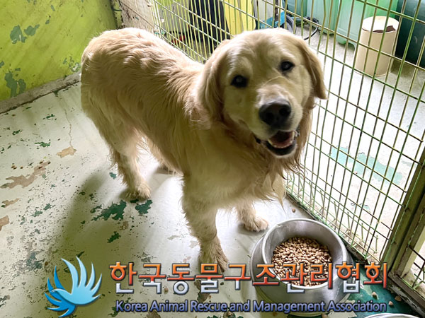 한국동물구조관리협회_441560202300766