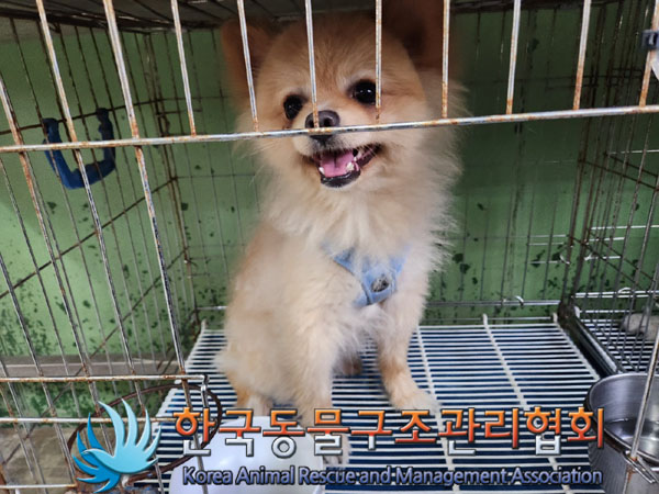 한국동물구조관리협회_411323202300569