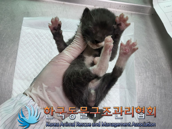 한국동물구조관리협회_411300202300219