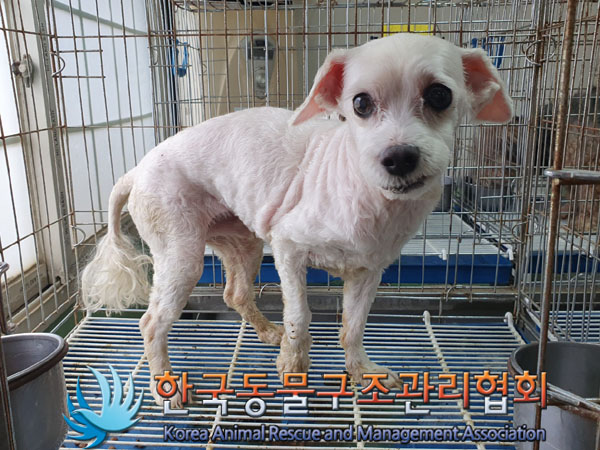 한국동물구조관리협회_411316202300447