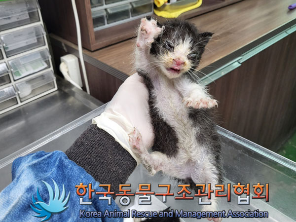 한국동물구조관리협회_441409202300930