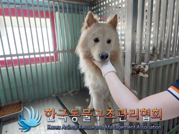 한국동물구조관리협회_411305202300298