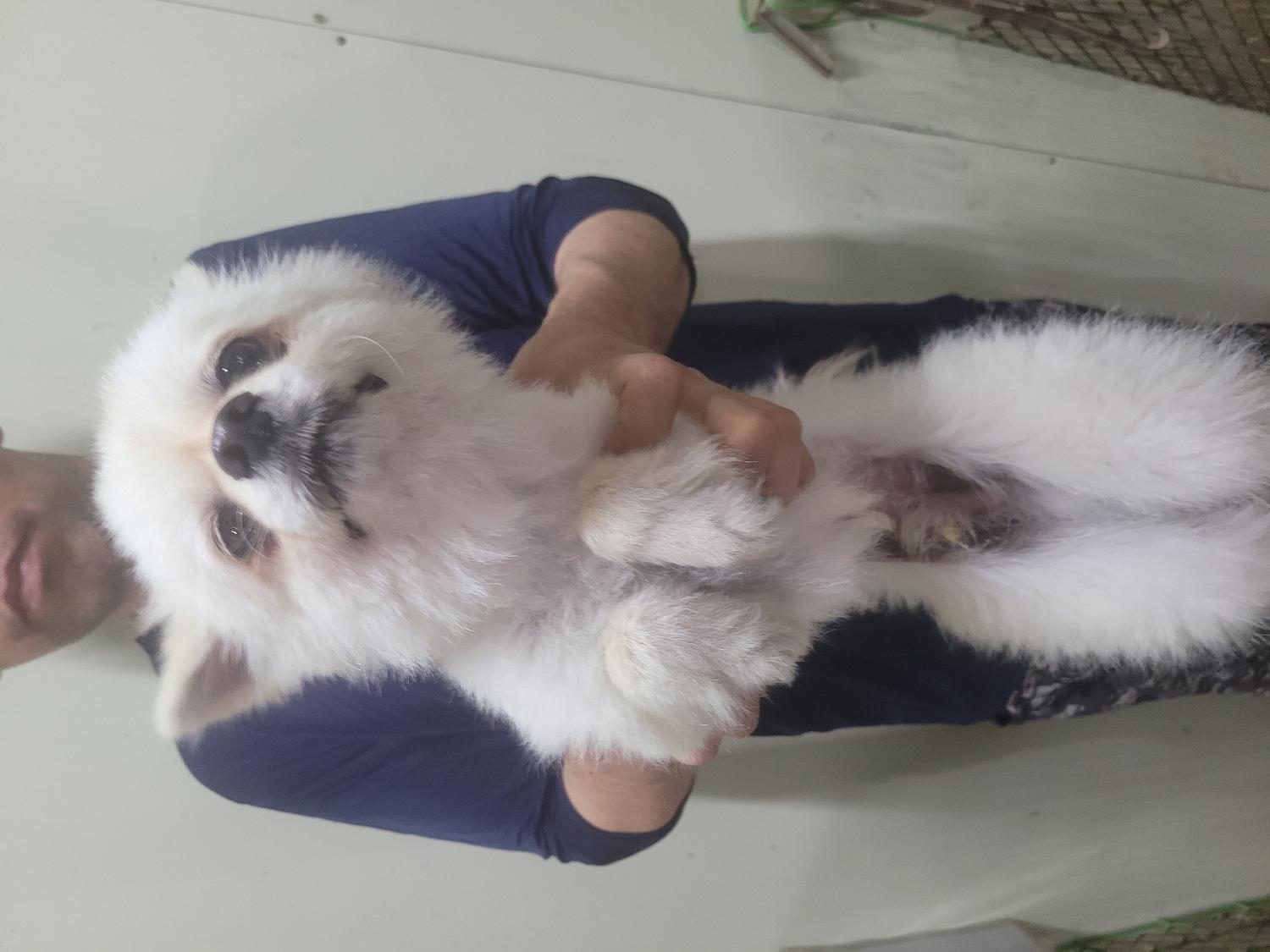창녕 유기동물보호소_448541202300986