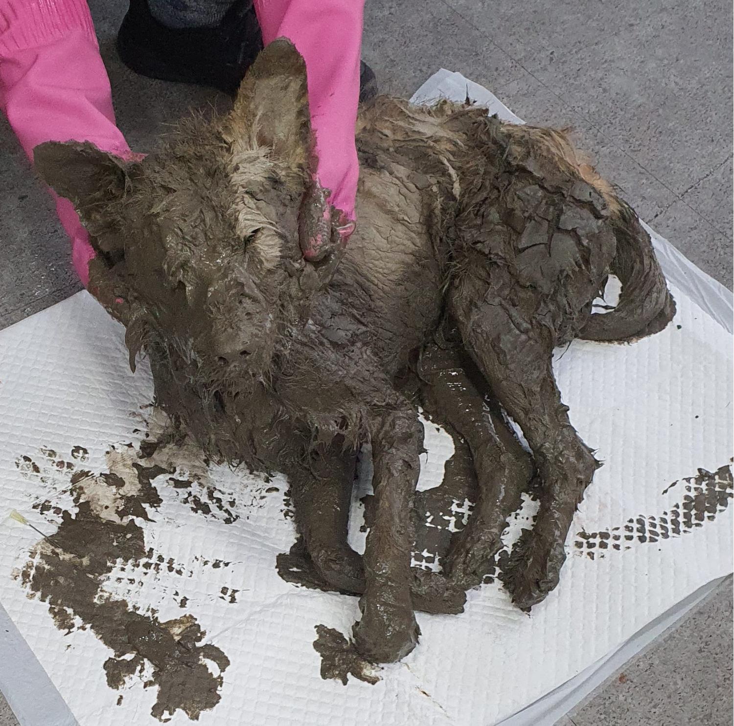 베스트동물병원_428357202300557