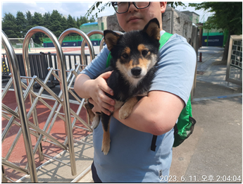 대전동물보호센터_430366202300330
