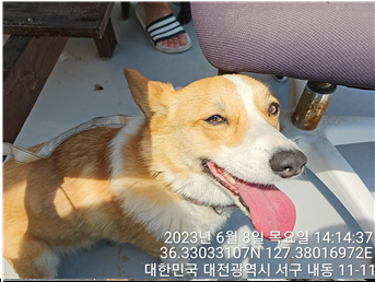 대전동물보호센터_430366202300328