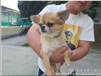 대전동물보호센터_430366202300323