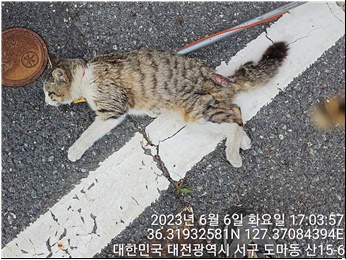 대전동물보호센터_430366202300326