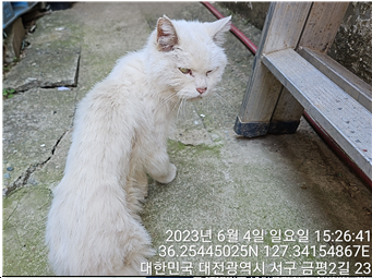 대전동물보호센터_430366202300325