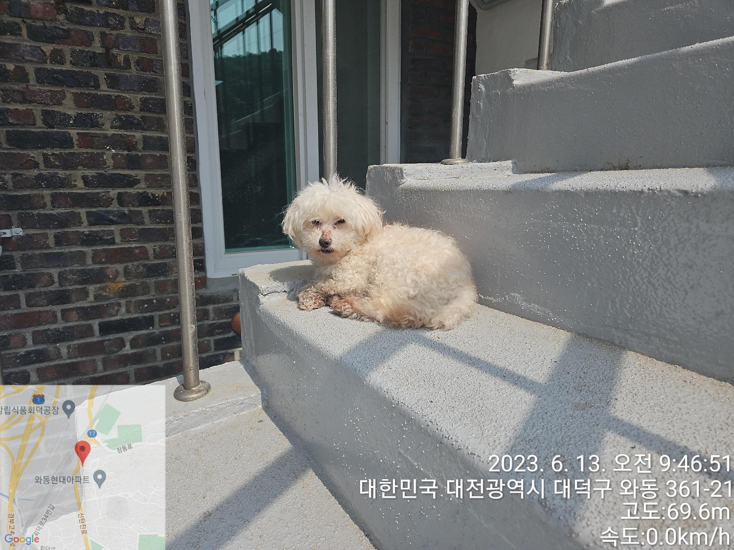 대전동물보호센터_430368202300281