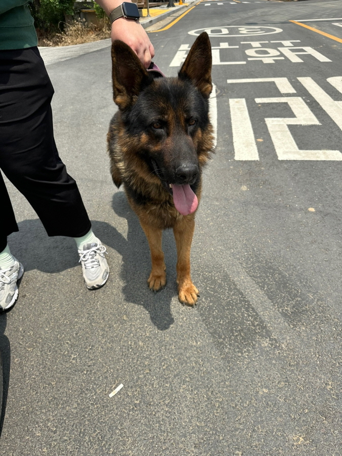 이성준동물병원_441408202300660