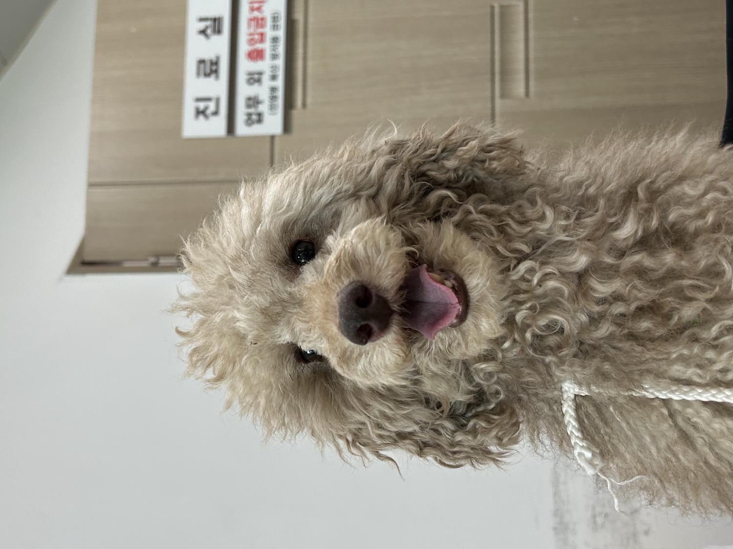 반려동물보호센터_443571202301754