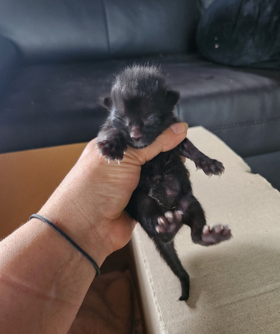 울산유기동물보호센터_431373202300601