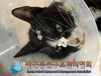 한국동물구조관리협회_411303202300261