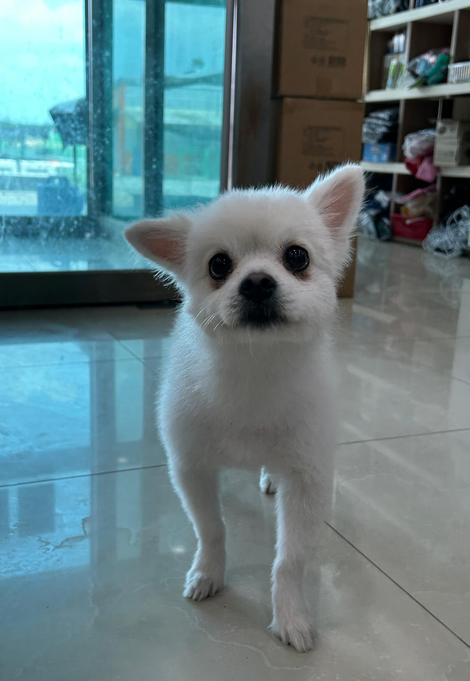 반려동물보호센터_443571202301755