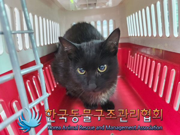 한국동물구조관리협회_441406202300840