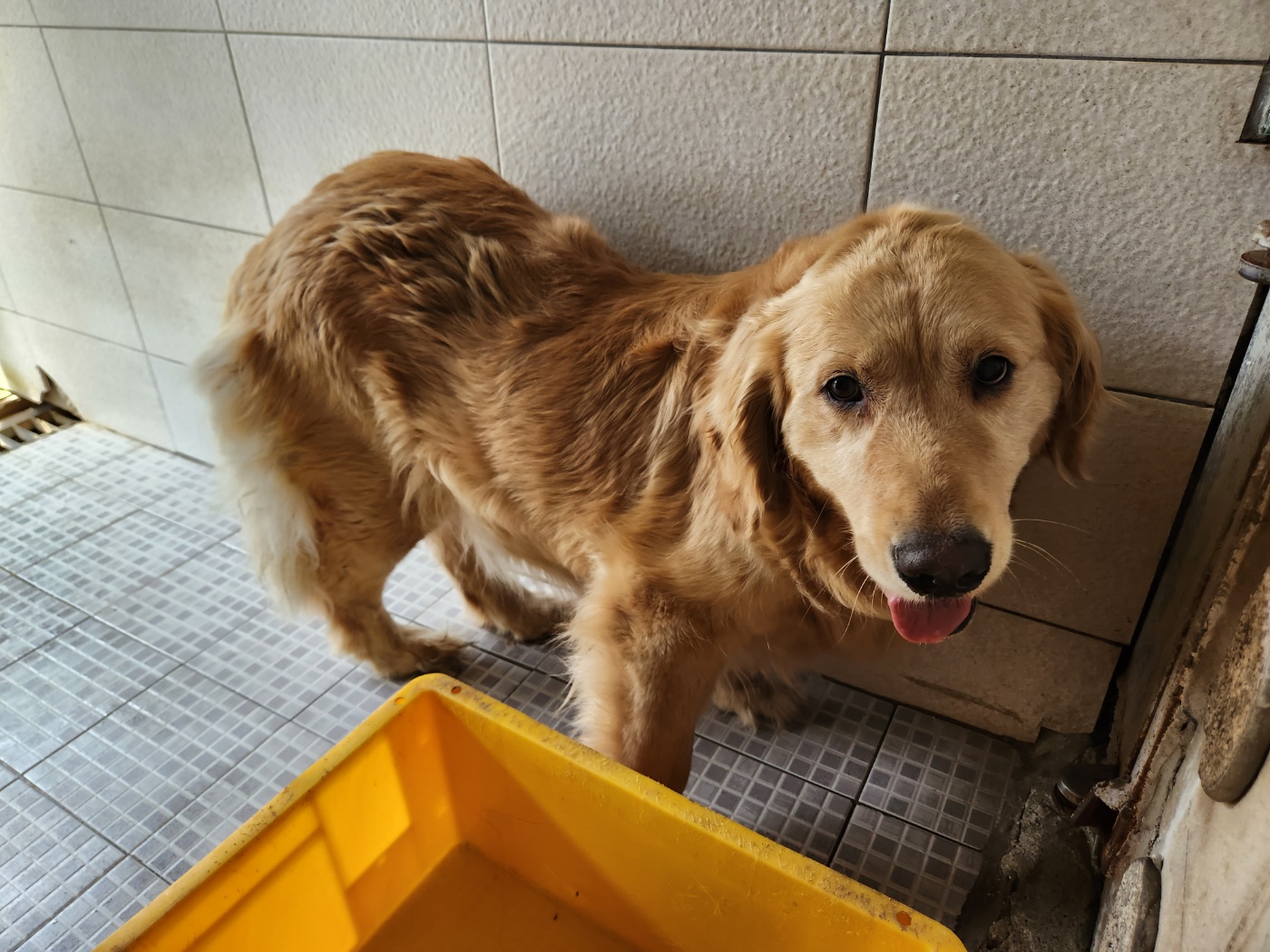 광주 동물보호소_429362202300478