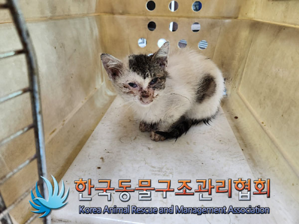 한국동물구조관리협회_411305202300300