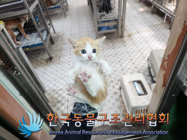 한국동물구조관리협회_441559202300426