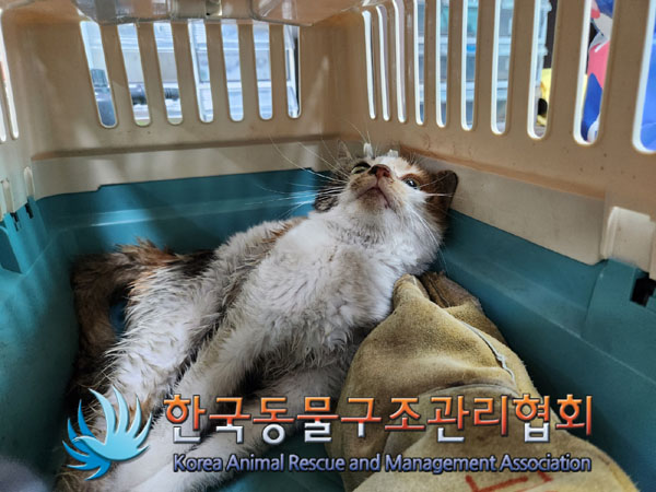 한국동물구조관리협회_411300202300222