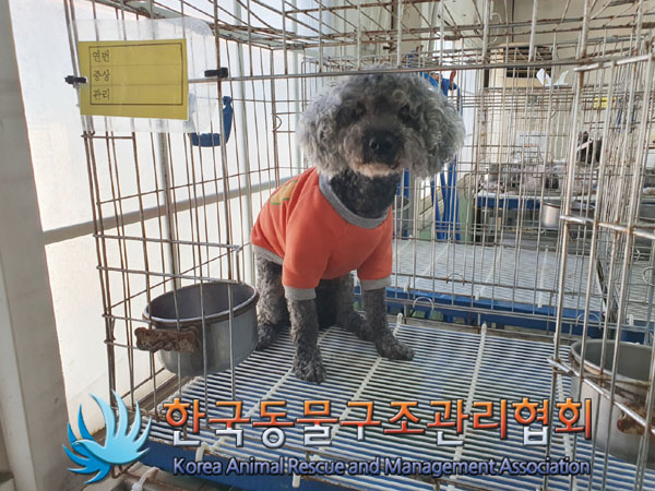 한국동물구조관리협회_411315202300398