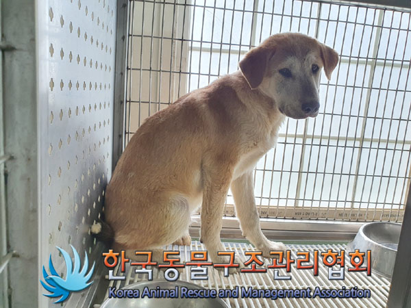 한국동물구조관리협회_441409202300953