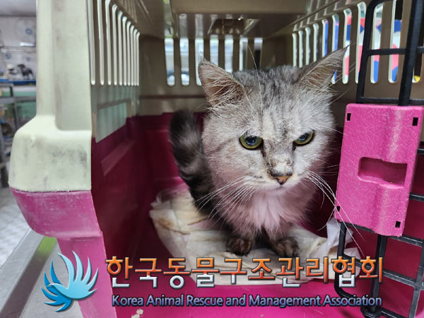 한국동물구조관리협회_441406202300842
