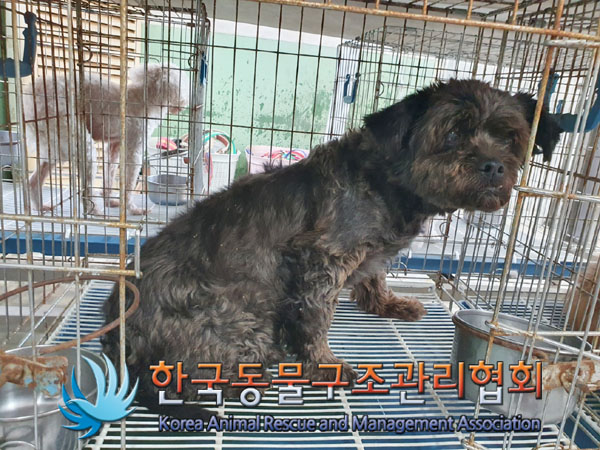 한국동물구조관리협회_441560202300777