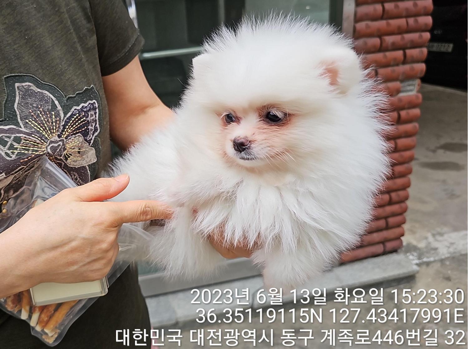 대전동물보호센터_430364202300192