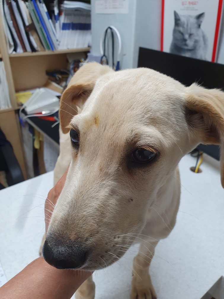 최종주동물병원_443444202300347