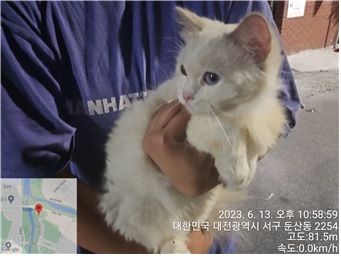 대전동물보호센터_430365202300272