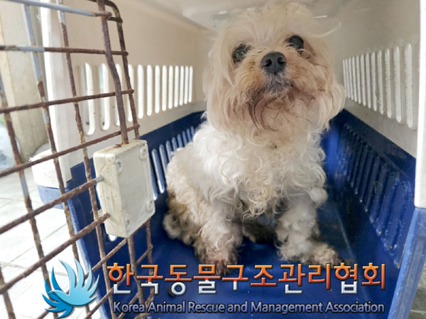 한국동물구조관리협회_411307202300213